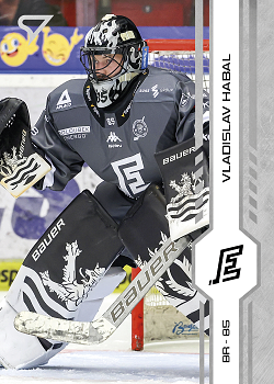 Vladislav Habal Karlovy Vary Tipsport ELH 2024/25 SportZoo 2. serie #336